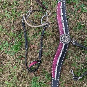 Stylish Black and Purple collar & headstall